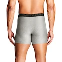 Caleçons pour homme Under Armour Perf Tech Solid 6in 3Pack Steel Heather