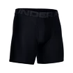 Caleçons pour homme Under Armour  Tech 6in 2Pack Black