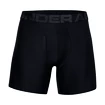 Caleçons pour homme Under Armour  Tech 6in 2Pack Black