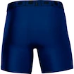 Caleçons pour homme Under Armour  Tech 6in 2Pack Blue