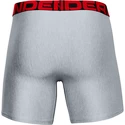 Caleçons pour homme Under Armour  Tech 6in 2Pack Grey