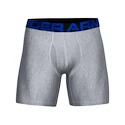 Caleçons pour homme Under Armour  Tech 6in 2Pack Navy