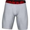 Caleçons pour homme Under Armour  Tech 9in 2Pack Grey