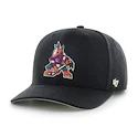 Casquette pour homme 47 Brand  NHL Arizona Coyotes Cold Zone ’47 MVP DP