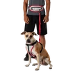 Ceinture de jogging Nathan  K9 Series Runner's Waistpack With Leash