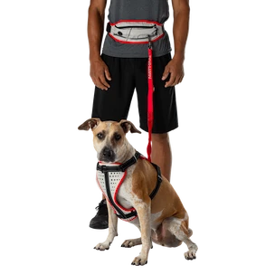 Ceinture de jogging Nathan  K9 Series Runner's Waistpack With Leash
