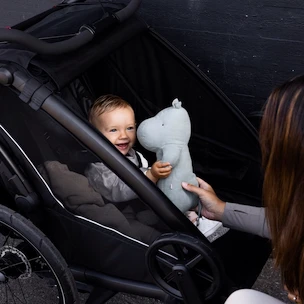 Chariot d’enfant Thule Chariot Sport 2 single black