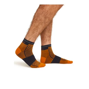 Chaussettes pour homme Icebreaker Merino Run+ Ultralight Mini Ray/Graphite  M