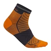 Chaussettes pour homme Icebreaker Merino Run+ Ultralight Mini Ray/Graphite  M
