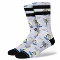 Chaussettes Stance  SURFING MONKEY Grey