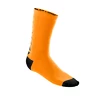 Chaussettes Wilson  Seasonal Crew Reef/Sangria