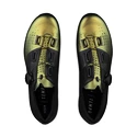Chaussures à crampons Fí:zik  Overcurve R4 Iridescent Beetle/Black