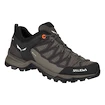 Chaussures d'extérieur pour femme Salewa  WS MTN Trainer Lite GTX Wallnut/Fluo Coral