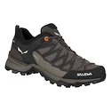 Chaussures d'extérieur pour femme Salewa  WS MTN Trainer Lite GTX Wallnut/Fluo Coral