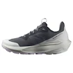 Chaussures d'extérieur pour femme Salomon Elixir Activ Gore-Tex India Ink/Glacier Gray/Orchid Petal