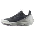 Chaussures d'extérieur pour femme Salomon Elixir Activ Gore-Tex India Ink/Glacier Gray/Orchid Petal
