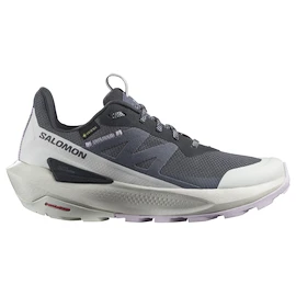 Chaussures d'extérieur pour femme Salomon Elixir Activ Gore-Tex India Ink/Glacier Gray/Orchid Petal