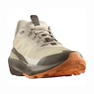Chaussures d'extérieur pour femme Salomon  ELIXIR ACTIV W White Pepper/Falcon/Papaya