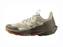 Chaussures d'extérieur pour femme Salomon  ELIXIR ACTIV W White Pepper/Falcon/Papaya