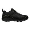 Chaussures d'extérieur pour homme Keen TARGHEE IV WP Triple black