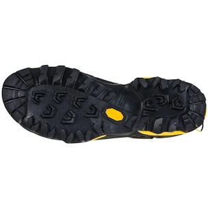 Chaussures d'extérieur pour homme La Sportiva  TX 5 Low GTX Carbon/Yellow