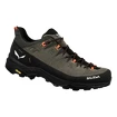 Chaussures d'extérieur pour homme Salewa Alp Trainer 2 Bungee Cord/Black