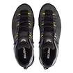 Chaussures d'extérieur pour homme Salewa  ALP Trainer 2 Gtx M Onyx/Black