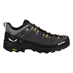 Chaussures d'extérieur pour homme Salewa  ALP Trainer 2 Gtx M Onyx/Black