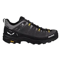 Chaussures d'extérieur pour homme Salewa  ALP Trainer 2 Gtx M Onyx/Black