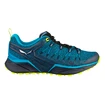 Chaussures d'extérieur pour homme Salewa  MS Dropline