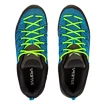 Chaussures d'extérieur pour homme Salewa  MS MTN Trainer Lite