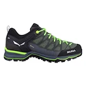 Chaussures d'extérieur pour homme Salewa  MS MTN Trainer Lite Gtx Myrtle/Ombre Blue  UK 9,5
