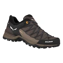 Chaussures d'extérieur pour homme Salewa  MS MTN Trainer Lite Gtx  Wallnut/Fluo Orange