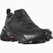 Chaussures d'extérieur pour homme Salomon  CROSS HIKE GTX 2