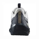 Chaussures d'extérieur pour homme Salomon ELIXIR ACTIV Glacier Gray/Carbon/Slate Green