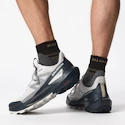 Chaussures d'extérieur pour homme Salomon ELIXIR ACTIV Glacier Gray/Carbon/Slate Green