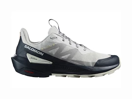 Chaussures d'extérieur pour homme Salomon ELIXIR ACTIV Glacier Gray/Carbon/Slate Green