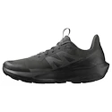 Chaussures d'extérieur pour homme Salomon Elixir Activ Gore-Tex Phantom/Black/Magnet