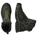 Chaussures d'extérieur pour homme Salomon Quest 4 Gore-Tex Olive Night/Peat/Safari