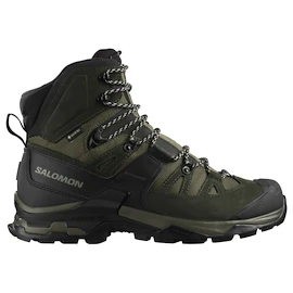 Chaussures d'extérieur pour homme Salomon Quest 4 Gore-Tex Olive Night/Peat/Safari