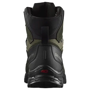 Chaussures d'extérieur pour homme Salomon Quest 4 Gore-Tex Olive Night/Peat/Safari