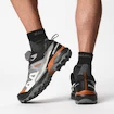 Chaussures d'extérieur pour homme Salomon  X ULTRA 360 GTX Quiet Shade/Black/Spice Route