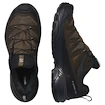 Chaussures d'extérieur pour homme Salomon X Ultra 360 Leather Gore-Tex Dark Earth/Delicioso/Sharkskin