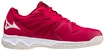Chaussures d'intérieur pour homme Mizuno  Lightning Star Z6 Junior Red White