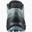 Chaussures de jogging pour femme Salomon  Speedcross 5 W Slate/Trooper