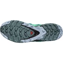 Chaussures de jogging pour femme Salomon  XA PRO 3D v8 GTX W Legion Blue FW22