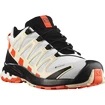 Chaussures de jogging pour femme Salomon  XA PRO 3D v8 GTX W Lunar Rock FW22