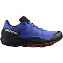 Chaussures de jogging pour homme Salomon  Pulsar Trail GTX Dazzling Blue FW22