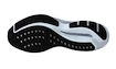 Chaussures de running pour femme Mizuno  Wave Inspire 19 Black/Silverstar/Snowcrest