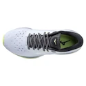 Chaussures de running pour femme Mizuno  Wave Sky 5 Heather/White